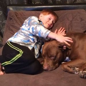 Meet your Posher, Joy